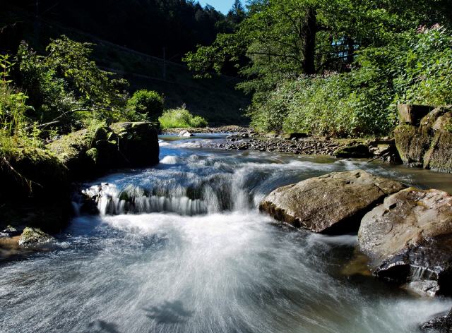 Die Alb ist ein etwa 51 Kilometer langer, kleiner Fluss im Nordschwarzwald und der mittleren Oberrheinischen Tiefebene in Baden-Württemberg, der am Nordrand der Gemarkung der Stadt Karlsruhe von rechts und Süden in den Rhein mündet.