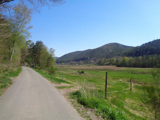 Die Queich ist ein fast 52 km langer linker und westlicher Nebenfluss des Rheins. Sie entspringt bei Hauenstein im Südteil des Pfälzerwalds, dem deutschen Teil des Wasgaus, und mündet in der Oberrheinischen Tiefebene im Stadtgebiet von Germersheim in den Oberrhein. Die Queich ist – neben Speyerbach, Lauter (am Oberlauf Wieslauter) und Schwarzbach – der Hauptfluss eines der vier großen Entwässerungssysteme des Pfälzerwalds.