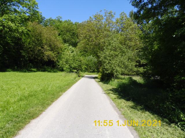 Elsenz Radweg