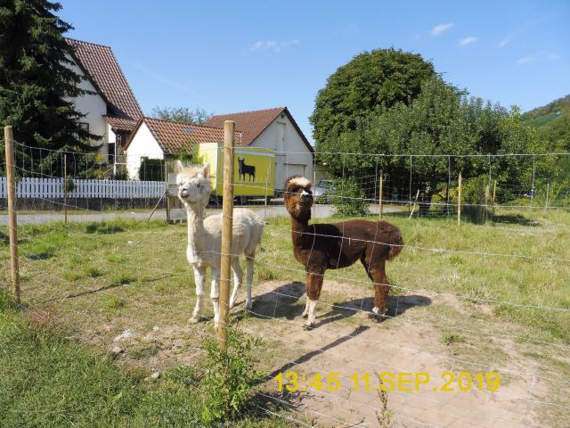 Auf der Enz-Metter Tour im Kraichgau