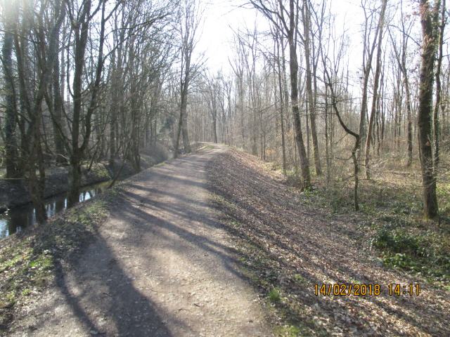 Der Hardtwald (das Toponym Hardt steht für gemeinsame Waldweide, Eckerich- und Holznutzung ist ein historisches Waldgebiet in der Oberrheinebene zwischen Rastatt und Graben-Neudorf, nördlich und südlich von Karlsruhe. Als bekanntes Waldgebiet dieser Region wird nach ihm die Landschaft auf dem rechtsrheinischen Hochgestade als Hardt bezeichnet. Er ist unterteilt in die nördliche, untere oder Karlsruher Hardt im Norden des Flusses Alb und die südliche oder obere Hardt südlich der Alb. Im weiteren Sinne zählen zum Hardtwald die zwischen Bruchsal und Schwetzingen gelegenen Forste Lußhardt und Schwetzinger Hardt. Zahlreiche ortsansässige Unternehmen, Vereine, Schulen und Bauwerke tragen das Wort Hardt als Bestandteil im Namen. Seltener ist auch die Schreibweise Haardt zu lesen, was nicht zu Verwechslungen mit der linksrheinischen Haardt, einem Gebirgszug, führen sollte.