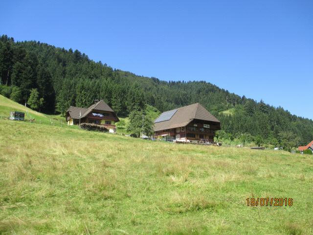 Das Schwarzwaldhaus ist ein Wohnstallhaus, das sich vor allem im mittleren und südlichen Schwarzwald findet. Es ist äußerlich gekennzeichnet durch das an den Seiten weit herabgezogene Walm- oder Krüppelwalmdach, getragen von der Firstsäule. Der Gebäudetyp ist angepasst an die Besonderheit des Schwarzwalds: Hanglage, weite Wege, große Schneemengen und starke Windbelastungen. Einzelne Höfe, wie etwa der Hierahof bei Lenzkirch-Saig, heute noch bewirtschaftet, erreichen ein Alter von über 400 Jahren.