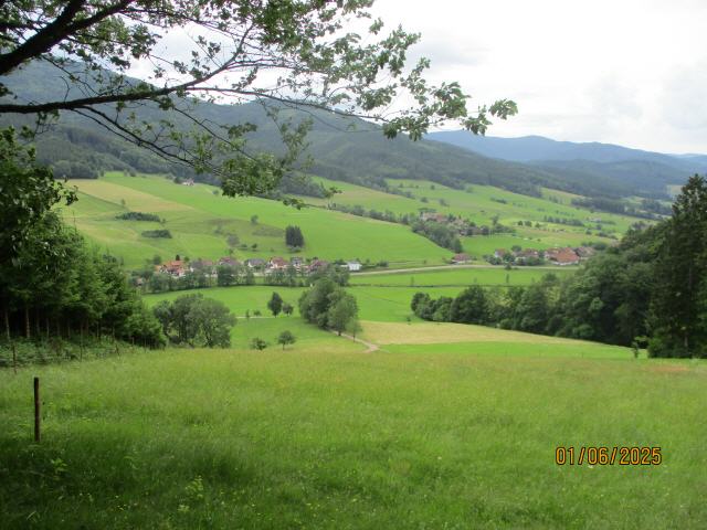 Schwarzwald Pur Elztal Radweg