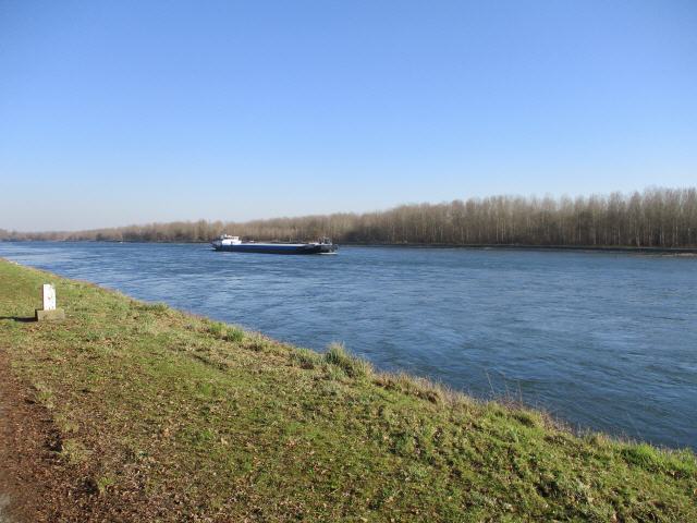 Am Rhein