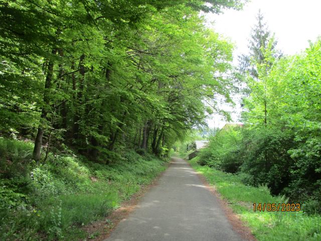 Das Naturschutzgebiet Albtal und Seitentäler liegt im Nordschwarzwald in den Talauen des Flusses Alb und seiner Zuflüsse. Seine 620,6 ha Fläche gehören zu zehn Gemeinden in vier baden-württembergischen Landkreisen. Das Gebiet mit der Kenn-Nummer 2.178 steht seit dem 1. Juni 1994 unter Naturschutz.