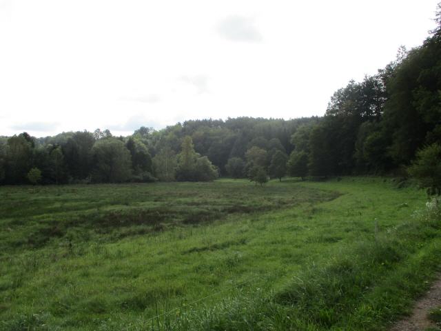 Unterwegs zur Burg Fleckenstein