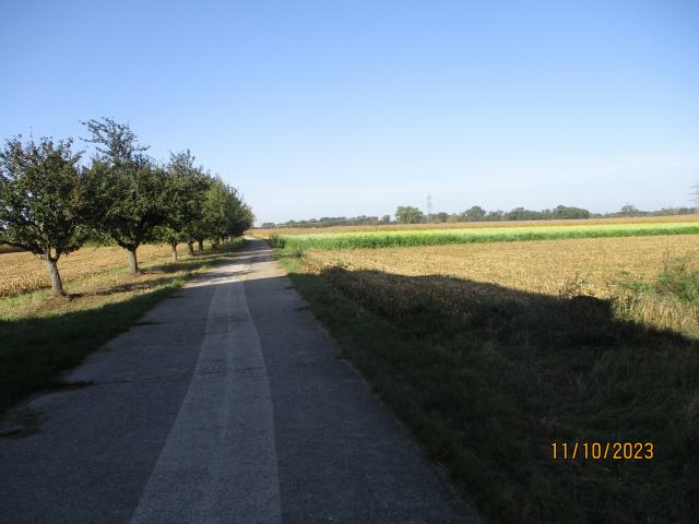 Hanauerland bezeichnet ein ehemaliges Herrschaftsgebiet nördlich von Straßburg auf französischer Seite und um Kehl in Mittelbaden auf deutscher Seite beiderseits der Grenze, die hier der Rhein bildet. Im regionalen alltagssprachlichen Kontext versteht man heute darunter den Großraum Kehl. Das Gebiet umfasst in der Regel die Städte Kehl und Rheinau sowie die Gemeinde Willstätt, die aus historischer Verbundenheit und wegen der Zugehörigkeit zum Ortenaukreis mehrere überregionale Projekte, wie beispielsweise den Zweckverband Hochwasserschutz Hanauerland, gemeinsam realisieren. Gelegentlich ist auch die seit der Kreisreform dem Landkreis Rastatt zugeordnete Gemeinde Lichtenau inbegriffen, wie beim Servicegebiet der Sparkasse Hanauerland Kehl. Seltener wird Hanauerland synonym zum aufgelösten Landkreis Kehl verwandt, der zu den bisher genannten Gebietskörperschaften des Ortenaukreises außerdem die heutigen Gemeinden Neuried, Appenweier und Renchen umfasste.