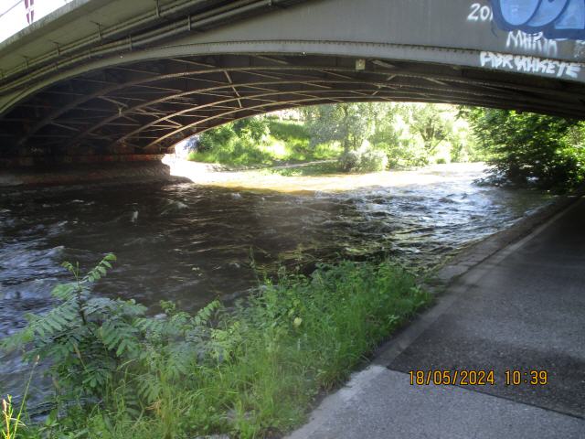 Radweg entlang der Dreisam. Die Dreisam ist ein 29,7 km langer Fluss in Baden-Württemberg. Er entsteht im Schwarzwald (Landkreis Breisgau-Hochschwarzwald) im Dreisamtal aus zwei Quellbächen. Die Dreisam durchfließt beim Eintritt in die Oberrheinebene die Stadt Freiburg im Breisgau und mündet nach insgesamt nordwestlichem Verlauf bei Riegel am Kaiserstuhl (Landkreis Emmendingen) von links in die Elz. Zusammen mit ihrem längeren linken Oberlauf, im untersten Abschnitt Rotbach genannt, ist die Dreisam 48,8 km lang. Ihr rechter Oberlauf, der Wagensteigbach, ist jedoch wasserreicher und damit Teil des Hauptstrangs im Dreisam-System.