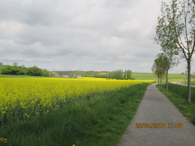 Die Landschaft des Kraichgaus im nordwestlichen Baden-Württemberg wird begrenzt vom Odenwald im Norden, dem Schwarzwald im Süden sowie der Oberrheinischen Tiefebene im Westen. Im Osten wird der Kraichgau von den Höhenzügen des Stromberg und Heuchelberg zum Zabergäu abgegrenzt. Die Gesamtfläche des Gebiets erstreckt sich über 1630 km.[1] Im Nordosten geht er mit Erreichen des Neckars in Bauland und Unterland über, im Südosten mit Erreichen der Enz in das Heckengäu.[2] Das Gebiet des Kraichgaus erstreckt sich auf Teile der Landkreise Karlsruhe, Heilbronn, Enzkreis, Rhein-Neckar-Kreis und Neckar-Odenwald-Kreis.