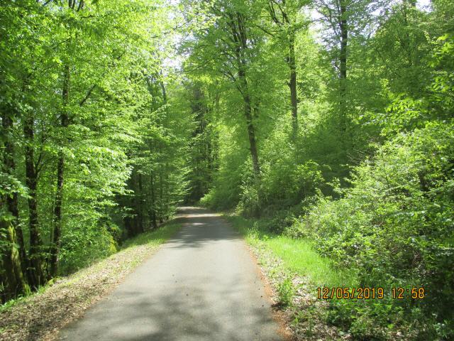 Aud dem Lautertal Radweg