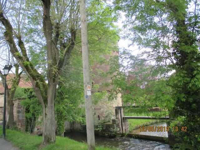 Die Lauter, am Oberlauf Wieslauter genannt, ist ein linker Nebenfluss des Rheins. Sie entspringt mitten im Pfälzerwald, die Hauptquelle liegt am 607 m hohen Weißenberg. Als Gewässer III. Ordnung eingestuft, gehört die Lauter neben Speyerbach, Queich und Schwarzbach zu den vier großen Entwässerungssystemen des Pfälzerwaldes.