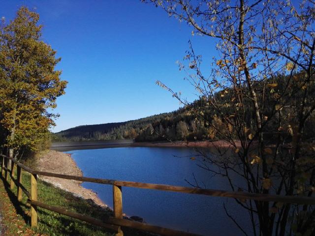 Die Nagoldtalsperre (auch: Talsperre Erzgrube) ist eine Talsperre, erbaut von 1965 bis 1970, die dem Hochwasserschutz und der Aufhöhung des Niedrigwassers im Nagoldtal dient. Sie liegt in Baden-Württemberg im Kreis Freudenstadt und wurde 1971 in Betrieb genommen. Die nächstgelegene Ortschaft ist Seewald-Erzgrube.