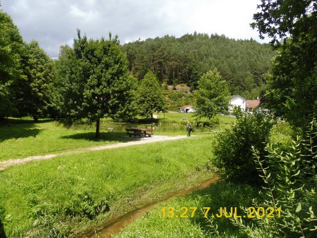 Die Mittelgebirgslandschaft Pfälzerwald (so die amtliche Schreibweise, häufig auch Pfälzer Wald, in naturräumlichen Gliederungen auch Haardtgebirge im Bundesland Rheinland-Pfalz ist das größte zusammenhängende Waldgebiet Deutschlands.