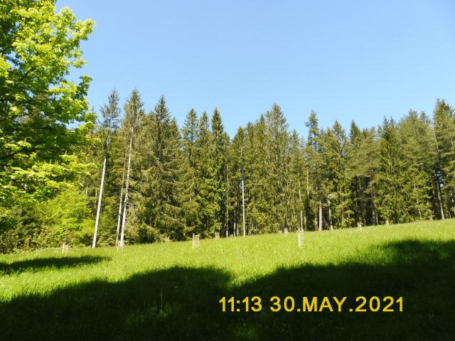 Schwarzwald Panorama Tour