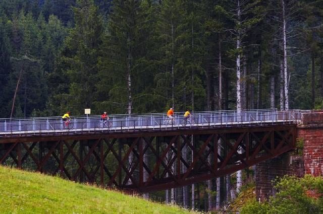 Mit dem Fahrrad durch die Landschaft des Schwarzwaldes!