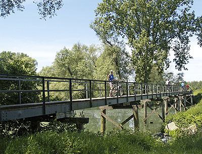 Zahlreiche Altrheinarme bilden zusammen mit dem ursprünglichen Rheinwald das Naturschutzgebiet.