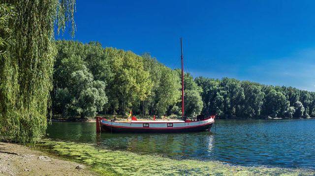 Altrheinarm Insel Rott