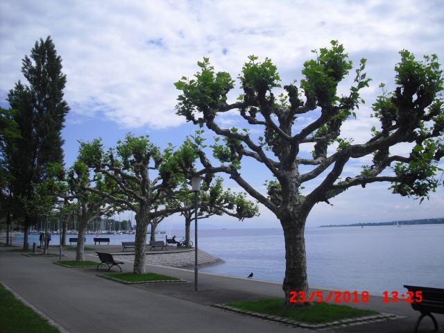 Uferpromenade in Konstanz