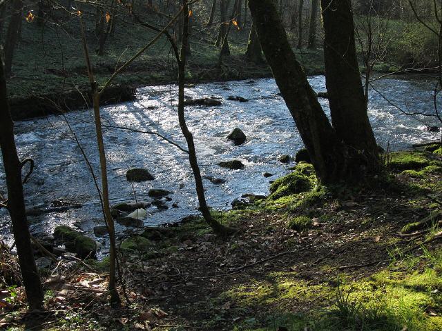 Die Würm ist ein etwa 53 Kilometer langer Fluss durch das Gäu in Baden-Württemberg, der im Schönbuch entspringt und nach einem Lauf nach Nordwesten durch die Oberen Gäue und zuletzt auch den Schwarzwald bei Pforzheim von rechts und Südosten in die unterste Nagold mündet.